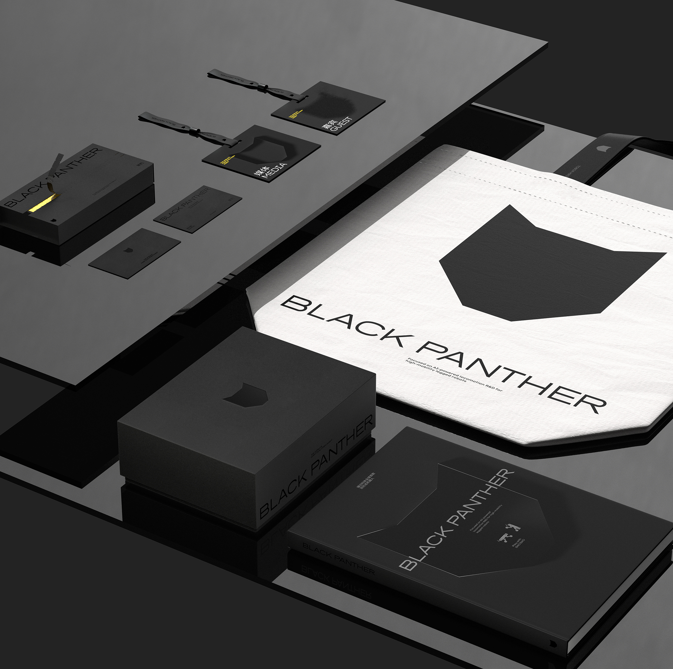 镜识黑豹，吉尼斯认证的全球蕞快机器人来了！