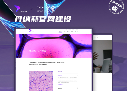 【上海雍熙YONGSY】医疗行业高端网站建设案例分享：丹纳赫