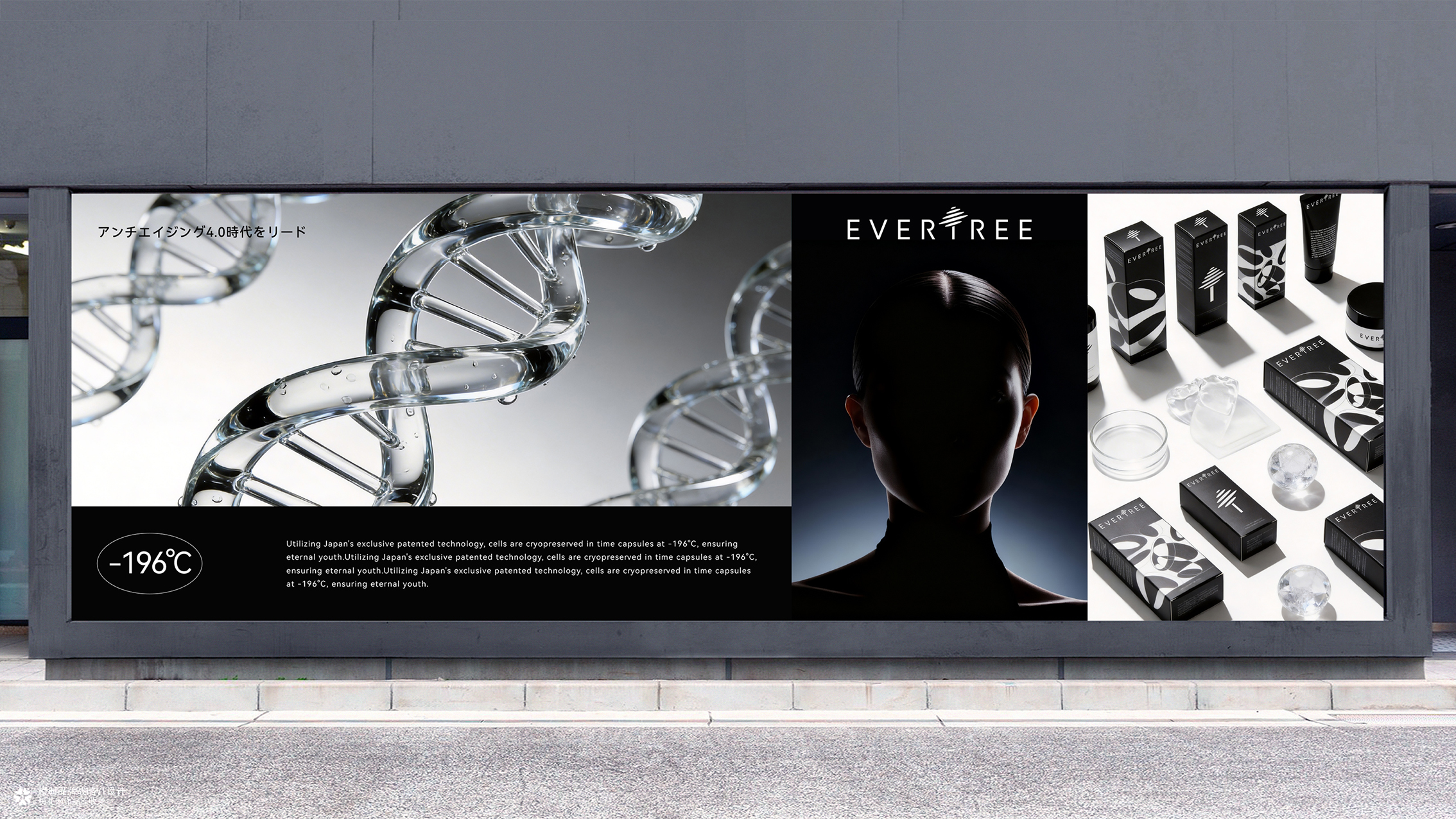 橙时 X 冻零树 | EVERTREE品牌形象设计