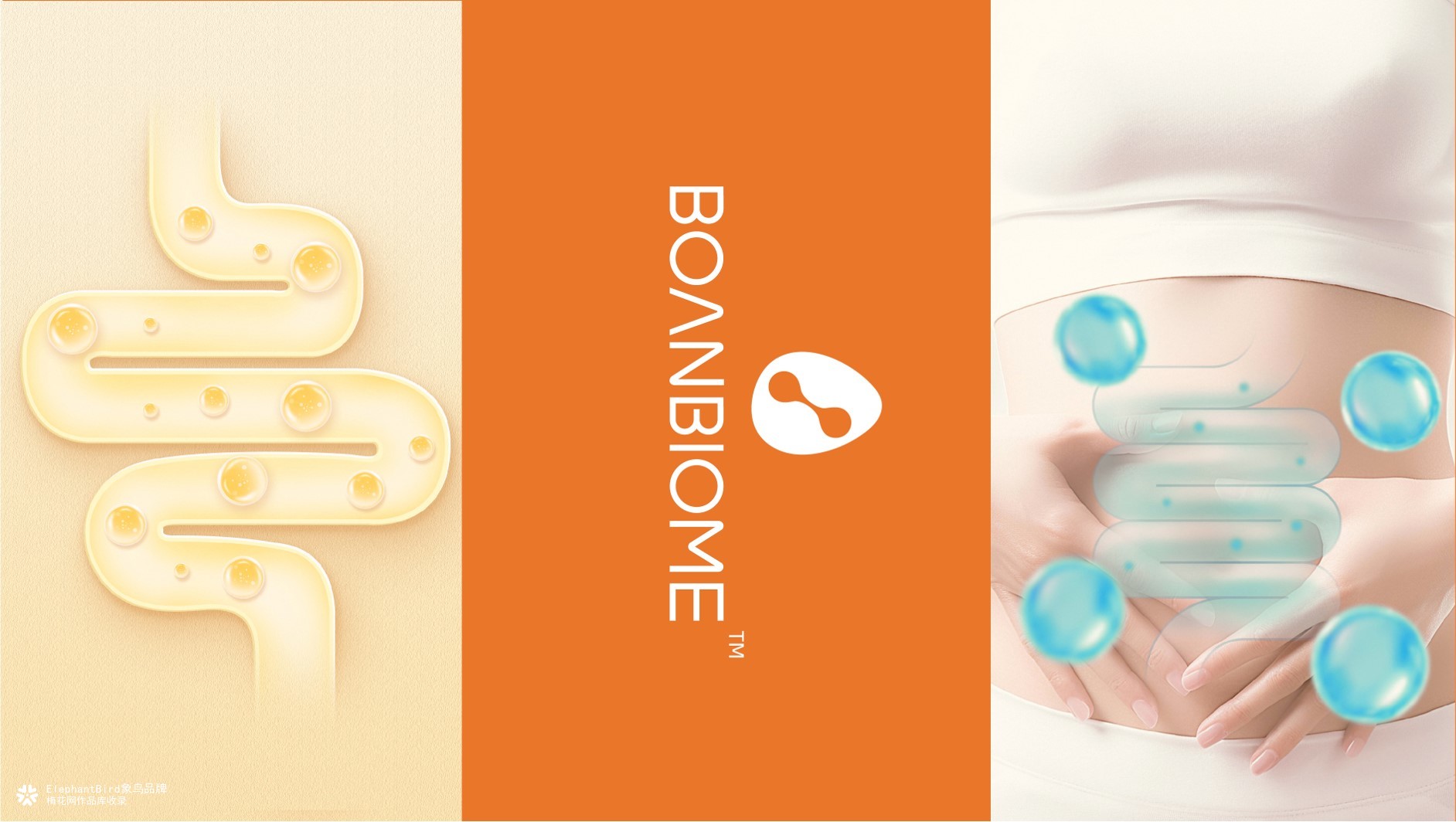 象鸟设计x珀衍君益生菌全案品牌设计