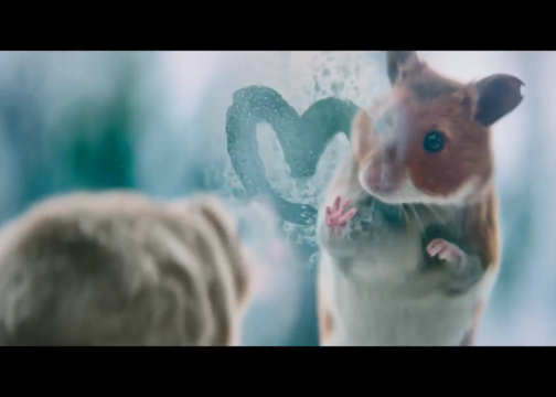 Albert Heijn圣诞广告：小老鼠也有博大的爱