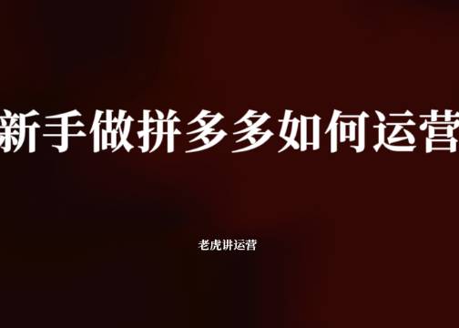 新手做拼多多如何运营