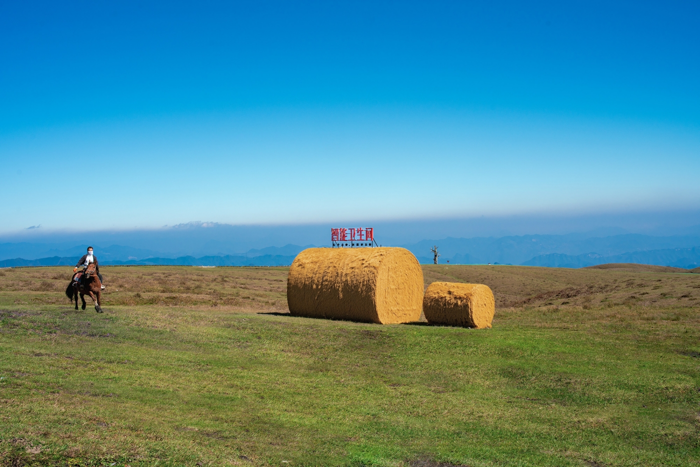 京东：2000米高原上，一件“天大的小事”