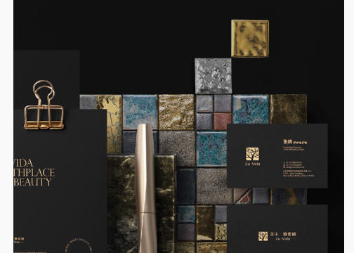 美生 · 雅素丽 | 欧洲进口瓷砖品牌 VI 设计