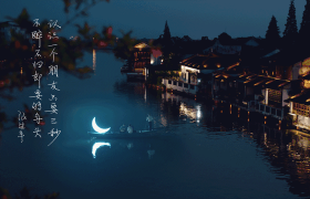 青岛啤酒作品专题