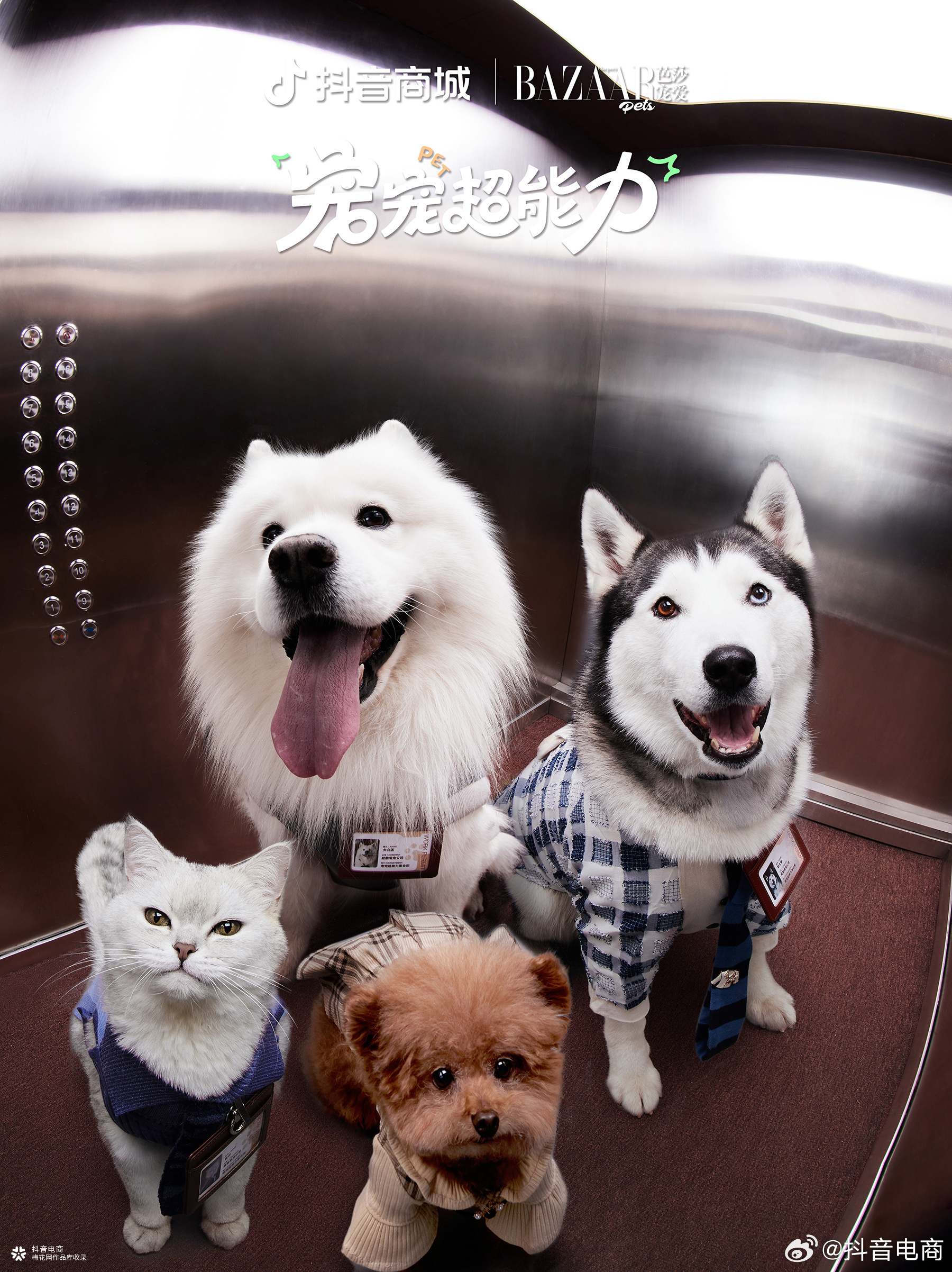 高能量萌宠职场打工初体验，从爪忙脚乱的一天开始！