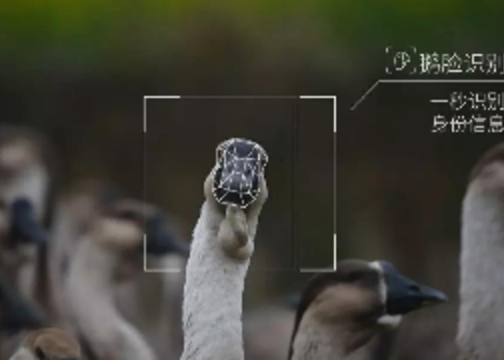 腾讯愚人节“AI生态鹅厂”视频广告