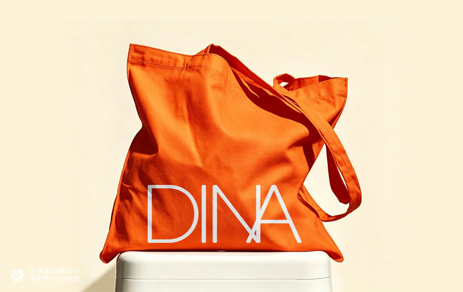 滴娜 DINA 二硫化硒去屑止痒洗发水品牌全案设计