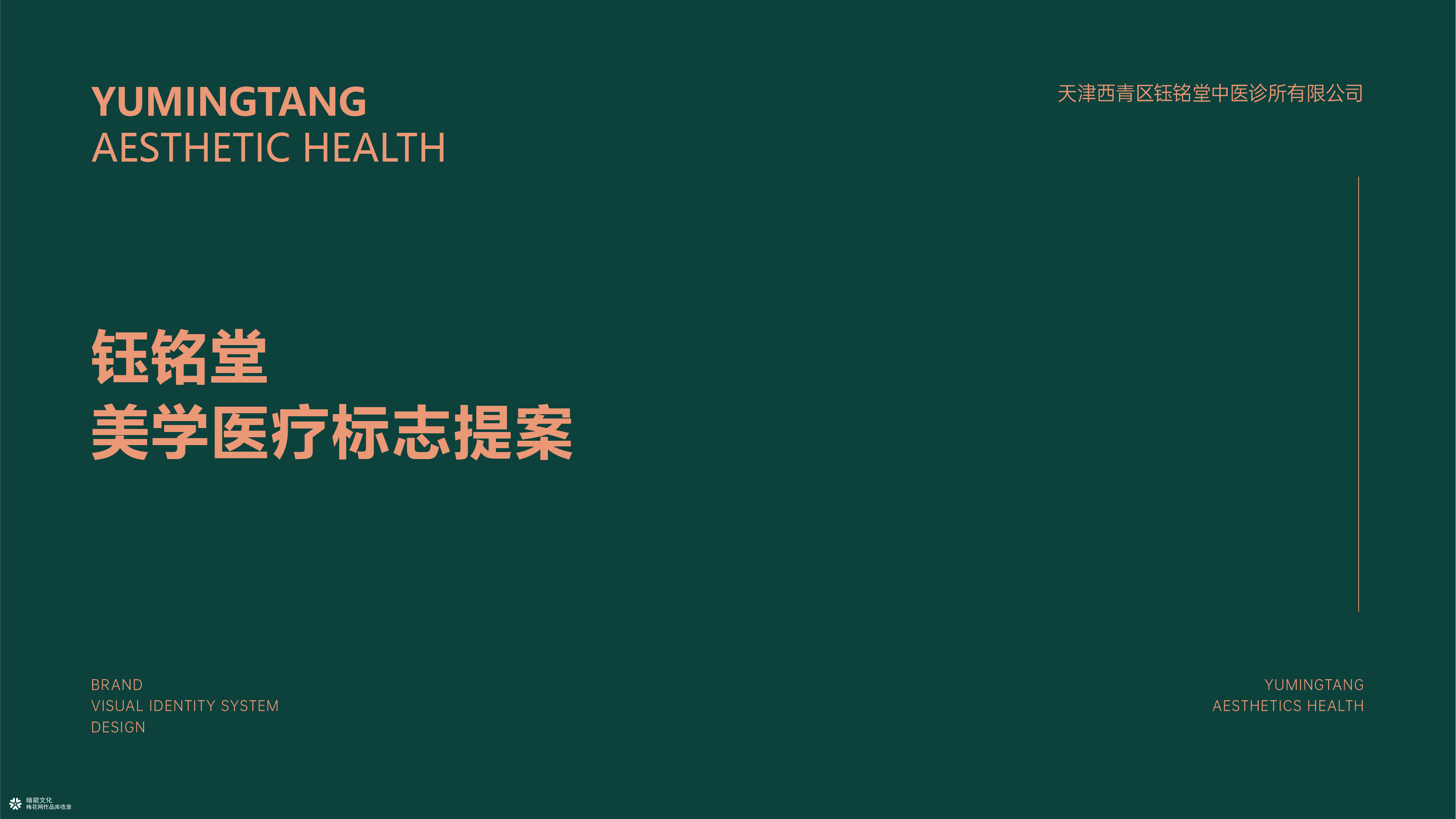 重庆暗能文化广告设计策划公司-美容养颜企业品牌视觉形象设计