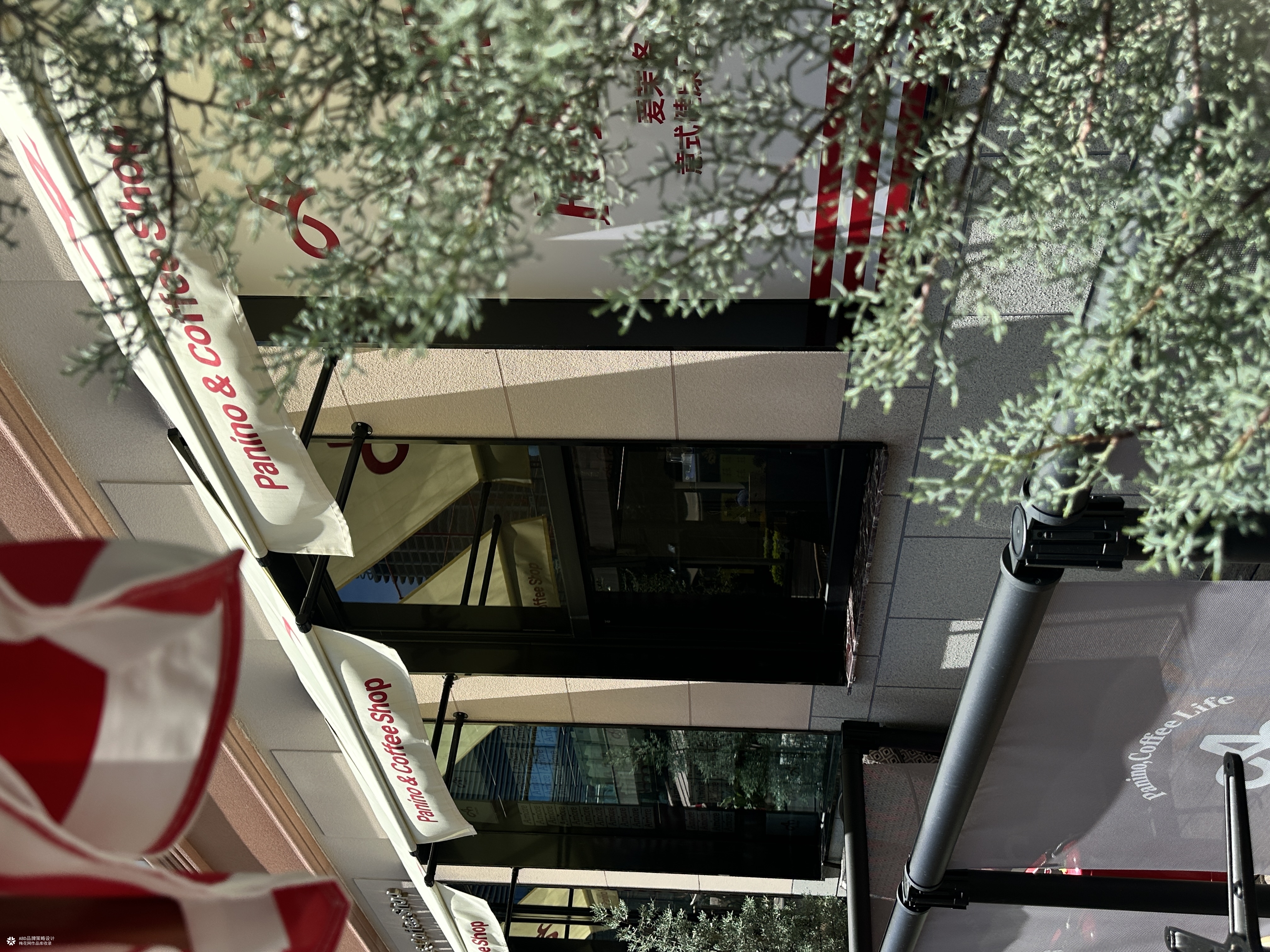 Amore 爱茉洛 | ABD案例
