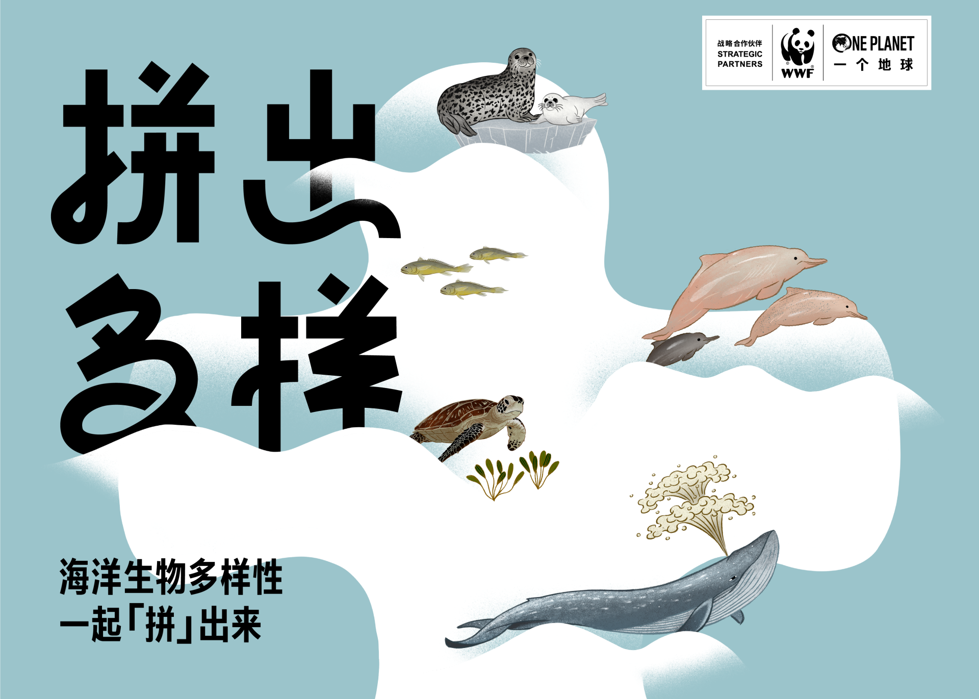 WWF：海洋生物多样性，一起「拼」出来