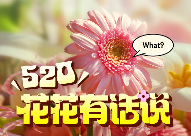 美团闪购520：花花们整“活”开吐槽小会了！