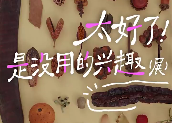 兴趣可以没用，但不能没有