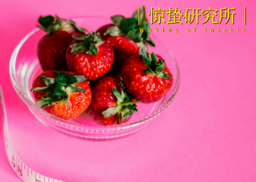 年轻人的养生革命：从“贴秋膘”到“轻养生”