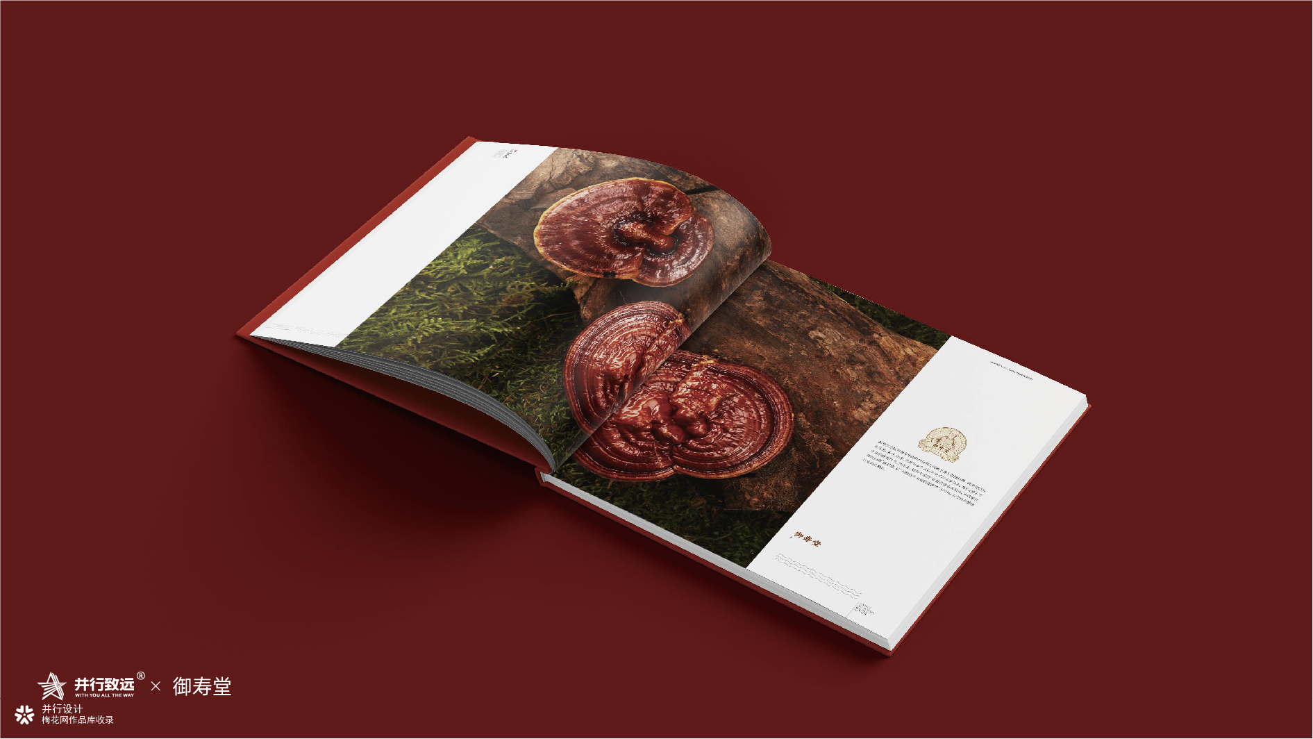 并行致远2025-2026年度作品合集