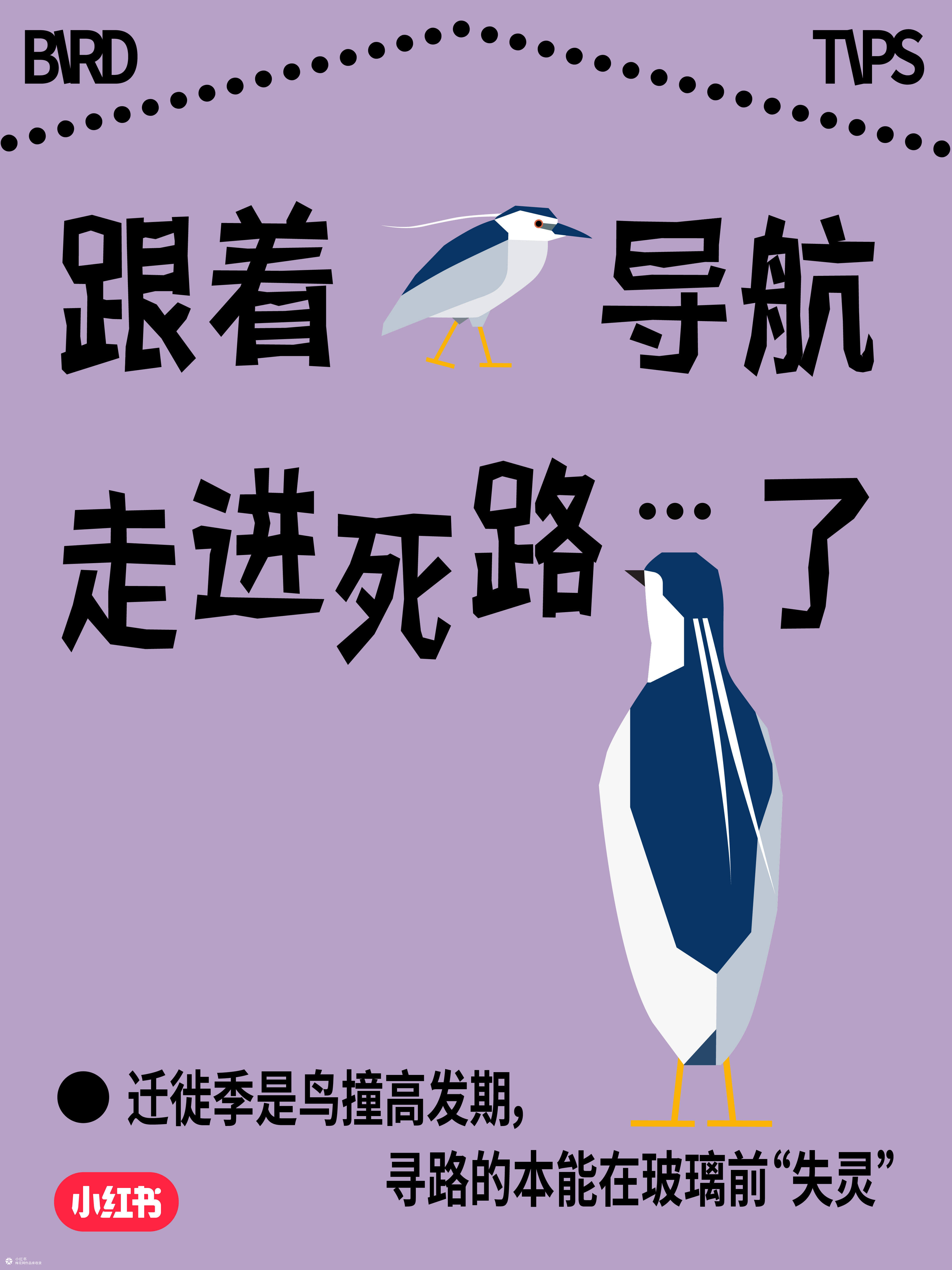 国际爱鸟日：人，小鸟有话对你说