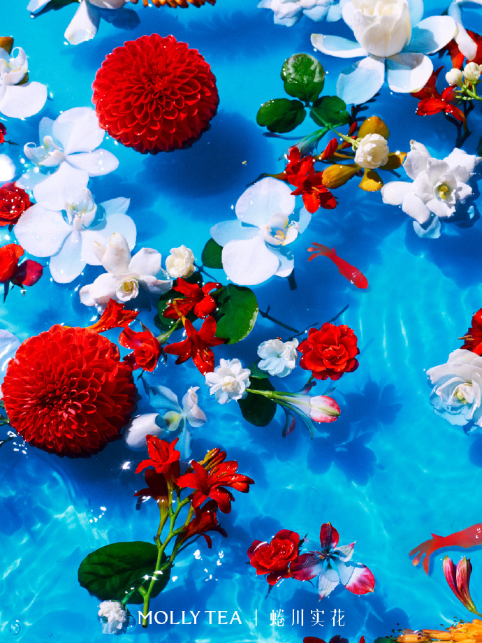 茉莉奶白携手蜷川实花共创漂亮花园