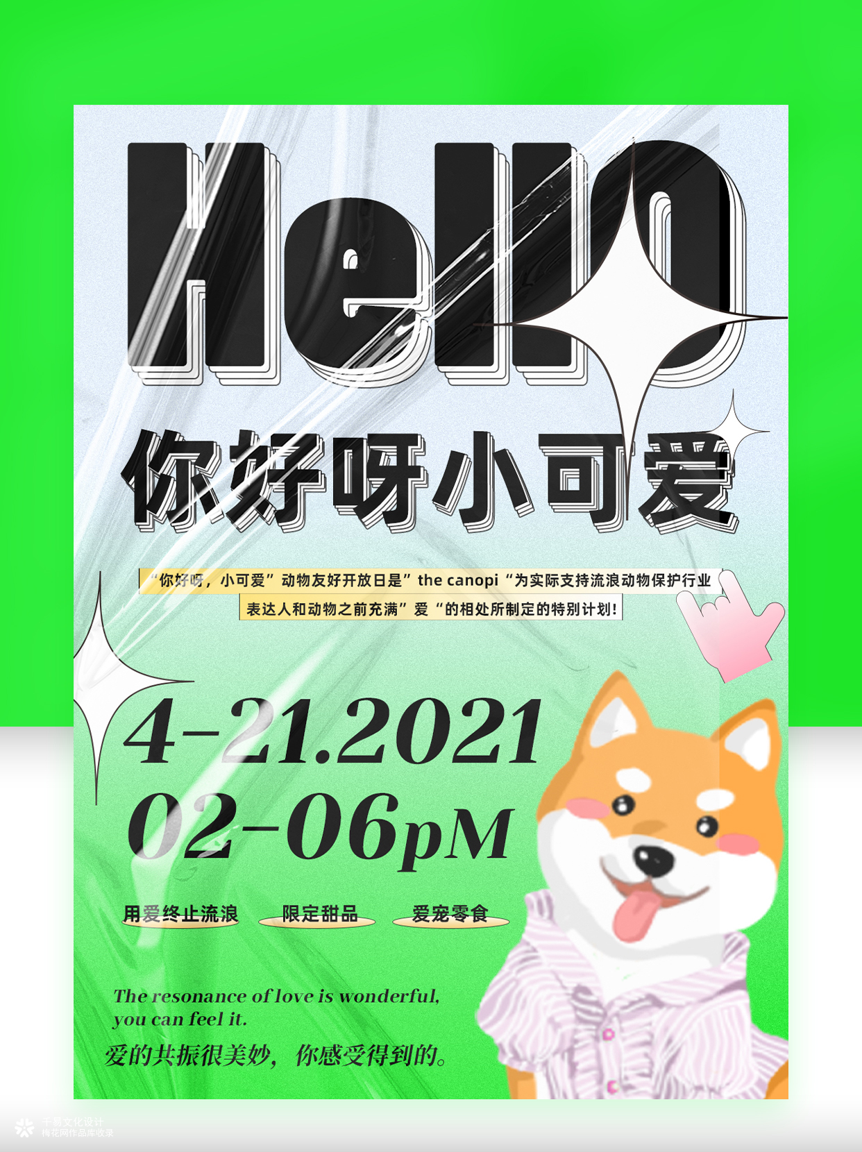 动物友好开放日活动平面海报