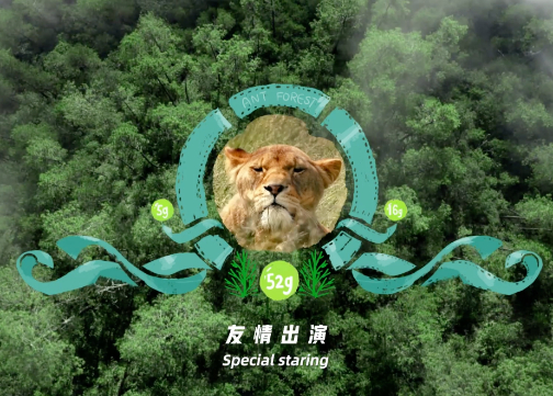 蚂蚁森林：这很绿色 This is Very Green