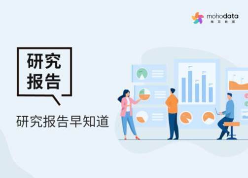 2025年品牌营销与危机公关复盘：梅花数据年度报告全集出炉