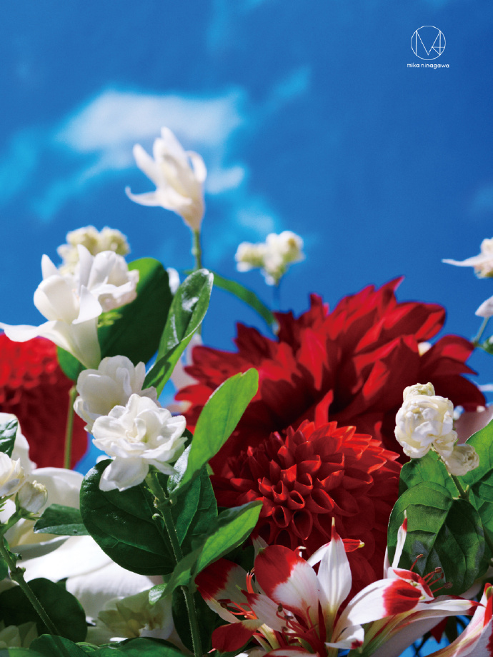 茉莉奶白携手蜷川实花共创漂亮花园