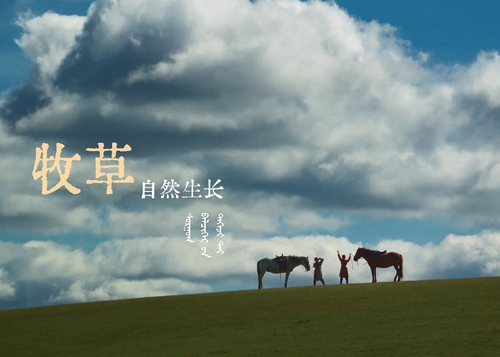 伊利臻选牧场中秋短片《草原的宝贝》
