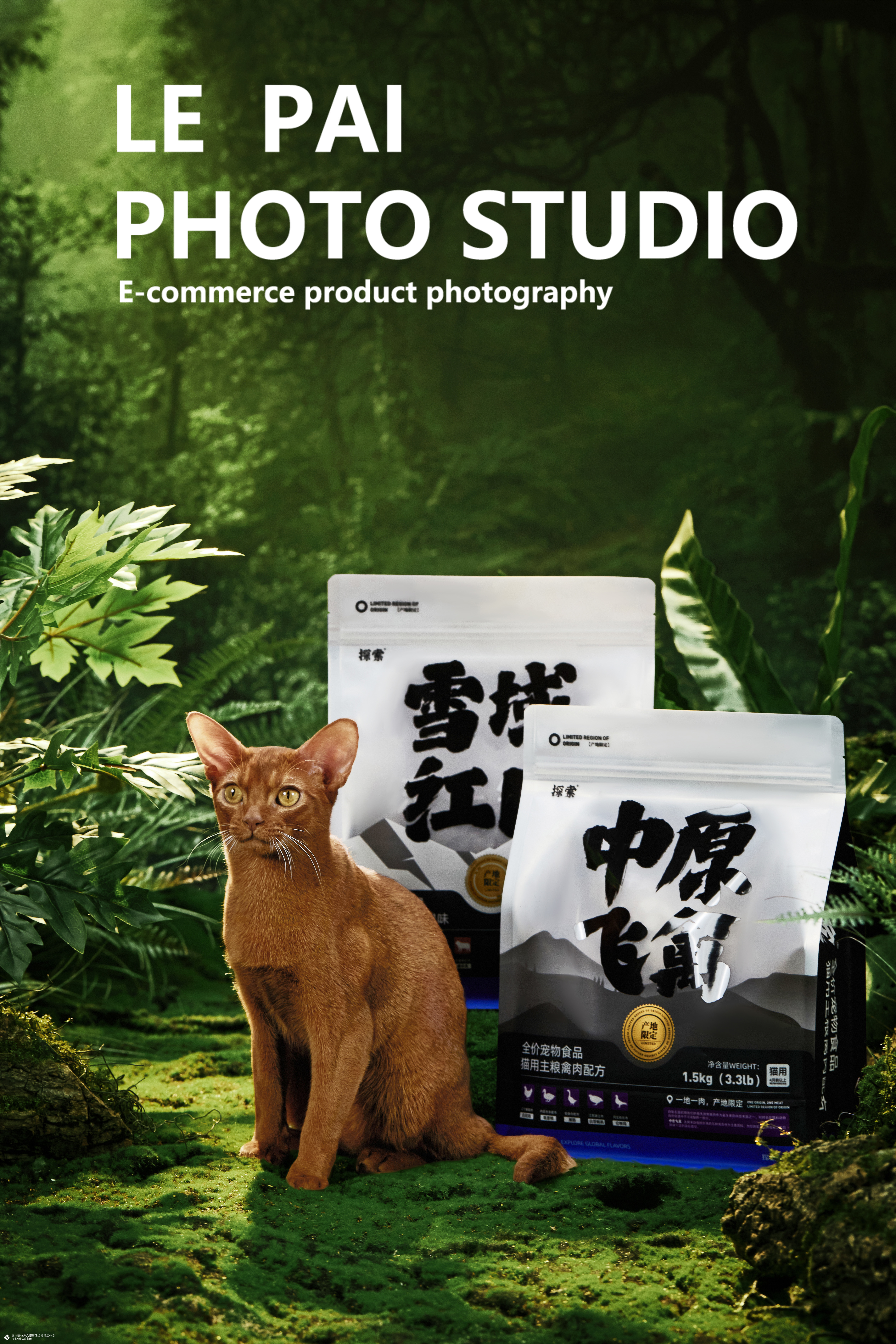 商业摄影|猫粮拍摄