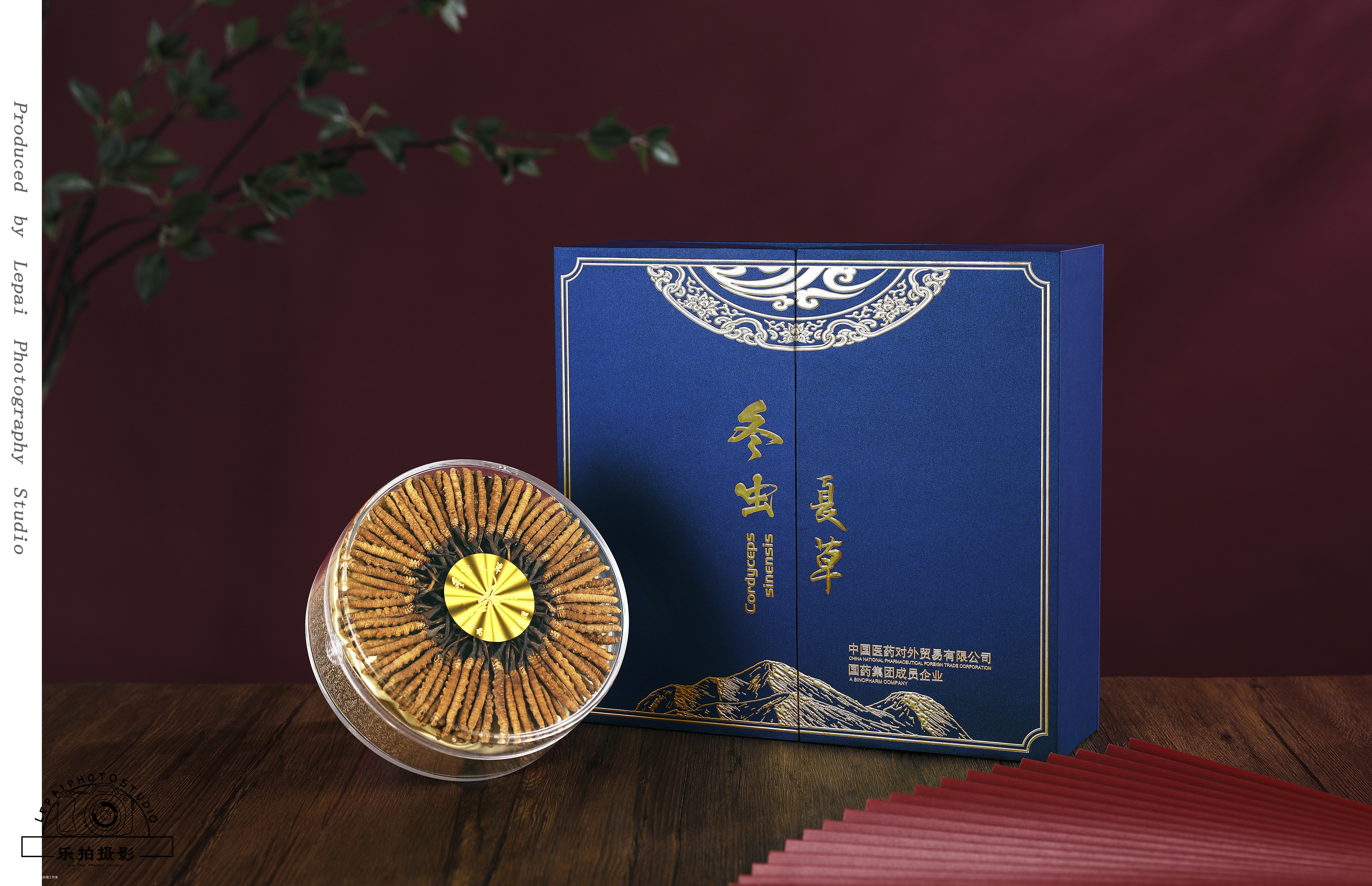 产品摄影｜冬虫夏草