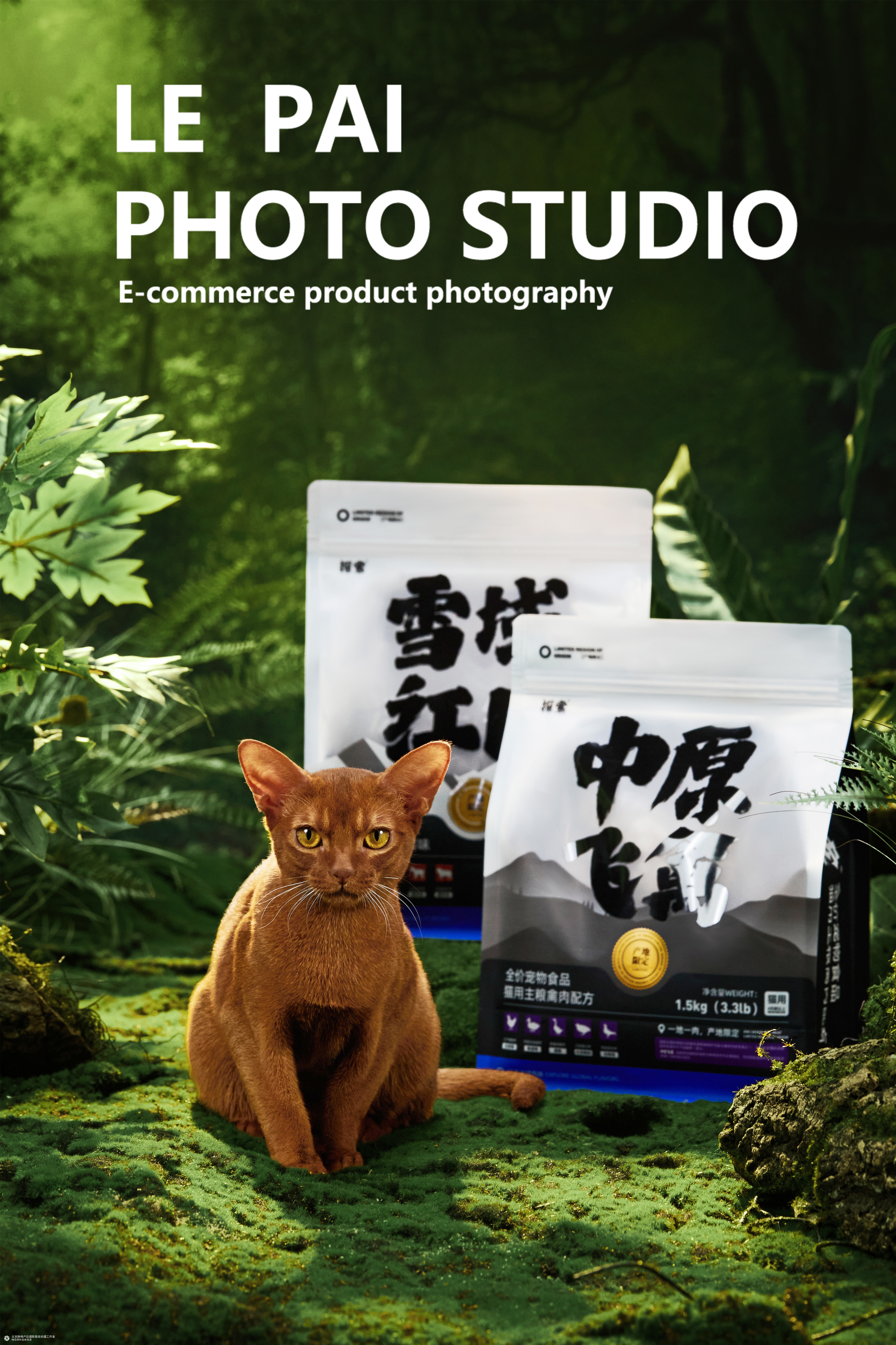 商业摄影|猫粮拍摄