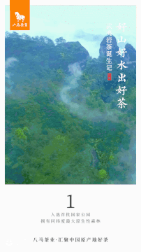 八马茶业“武夷岩茶诞生记”系列海报