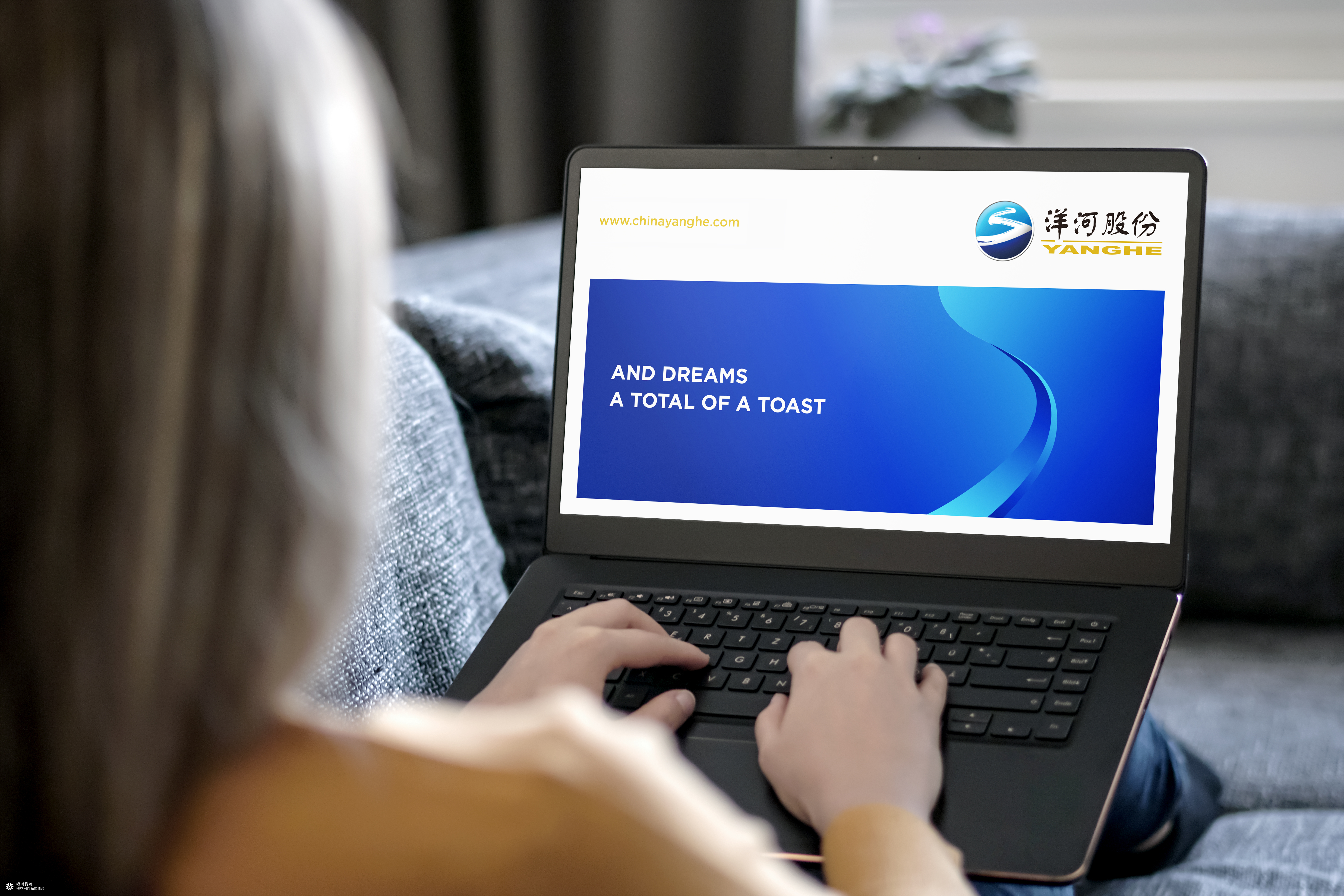 洋河股份品牌形象设计