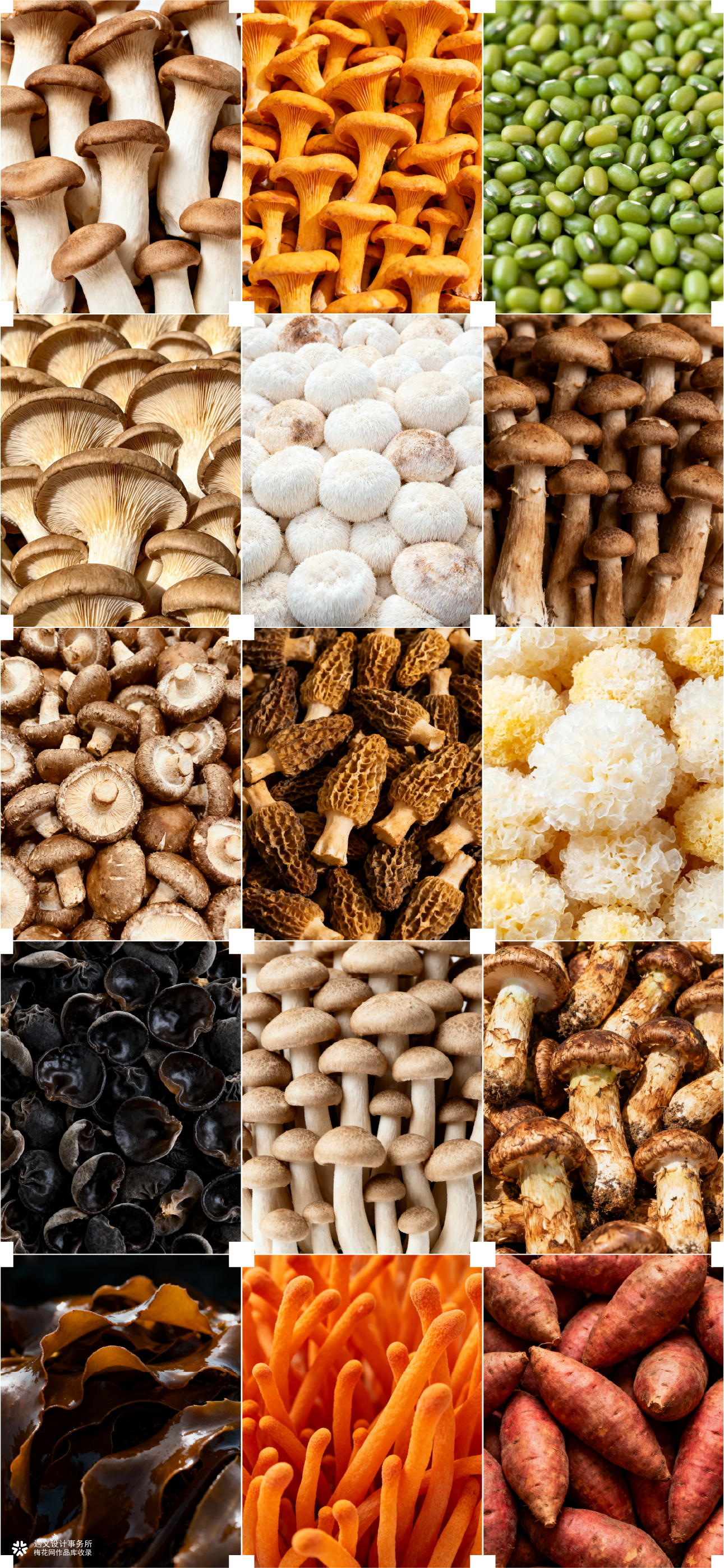 遇义设计丨三只松鼠 集鲜山品牌设计丨山不在高 有鲜则名