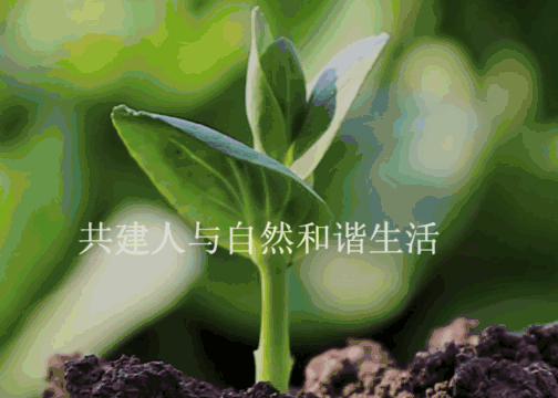 雍熙环保科技行业网站建设案例分享：中证金鹏集团官网