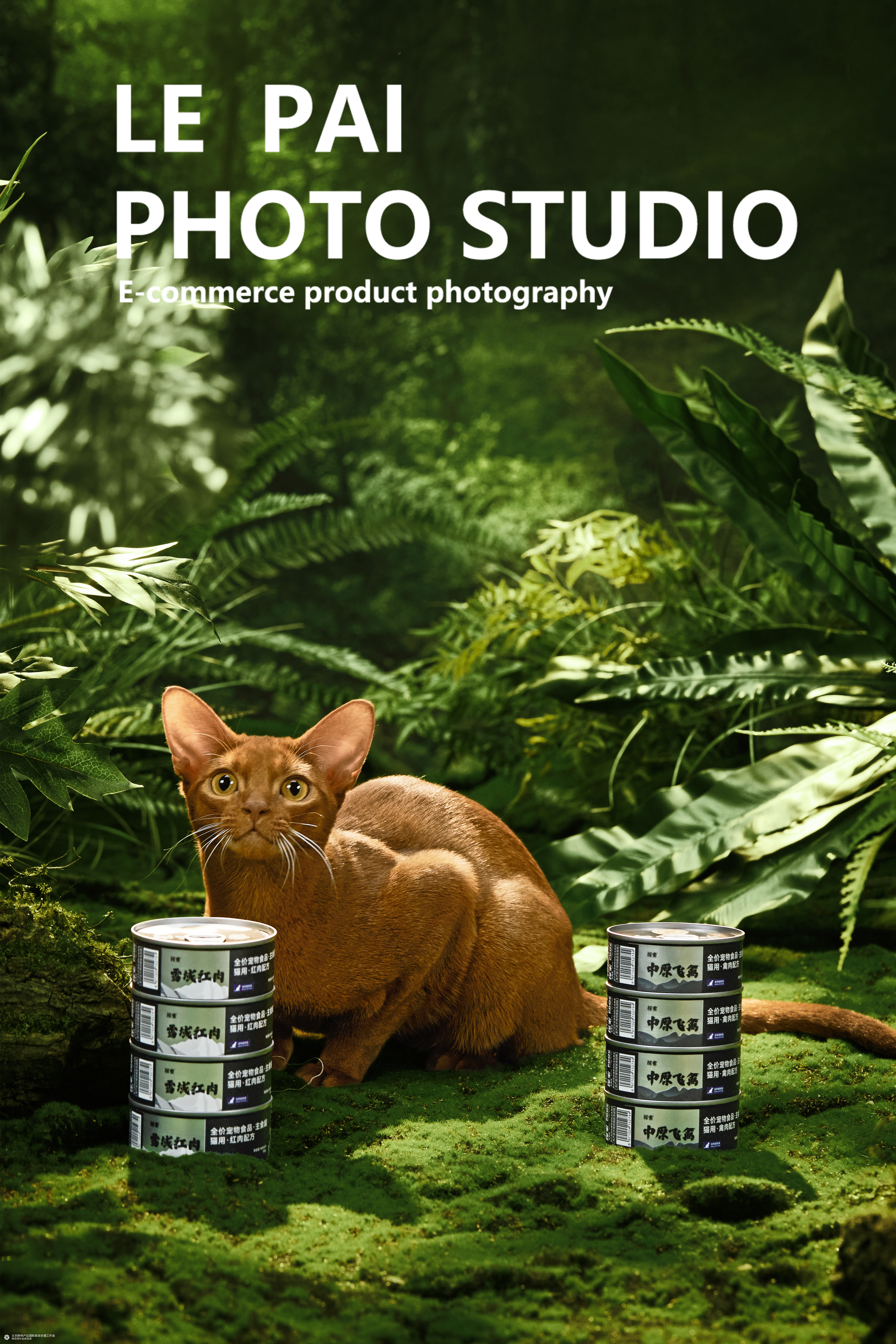 商业摄影|猫粮拍摄